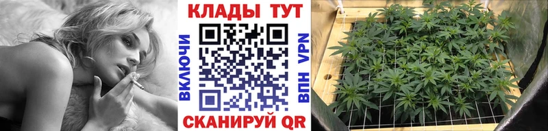 Купить закладку МАРИХУАНА  СОЛЬ  ГАШ  Меф мяу мяу  Вязьма
