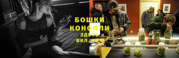 дурь Касимов