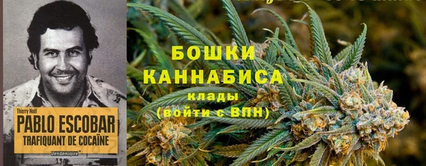 дурь Касимов