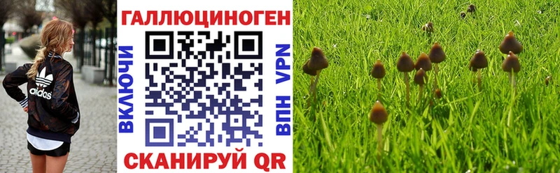 Купить закладки Вязьма Псилоцибиновые грибы прущие грибы